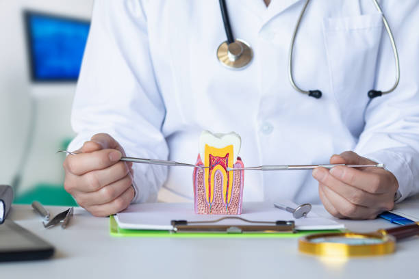 Best Emergency Treatment for Dental Infections or Abscesses in Broad Creek, NC